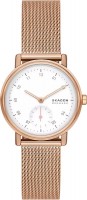 Wrist Watch Skagen Kuppel Lille SKW3099 