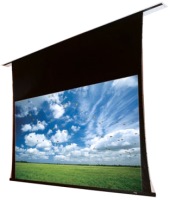 Photos - Projector Screen Draper Access/Series V 356x201 