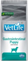 Photos - Dog Food Farmina Gastrointestinal Puppy 