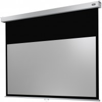 Photos - Projector Screen Celexon Manual Professional Plus 200x113 