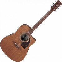 Photos - Acoustic Guitar Ibanez PF54CE 