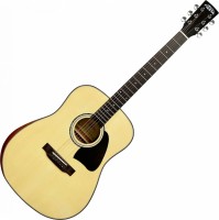 Photos - Acoustic Guitar Fiesta FD-60 