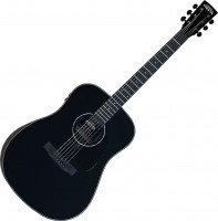 Photos - Acoustic Guitar Fiesta FD-60 EQ 