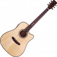 Photos - Acoustic Guitar Prima MAG212cQ 