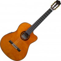 Photos - Acoustic Guitar Prima MCG603cQ 