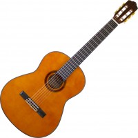 Photos - Acoustic Guitar Prima MCG603 