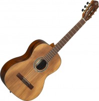 Photos - Acoustic Guitar Ortega R23RO 