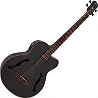 Acoustic Guitar ARIA FEB-F2M 