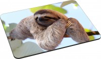 Photos - Mouse Pad Pedea Gaming Office Mauspad L Chilling Sloth 