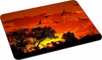 Photos - Mouse Pad Pedea Gaming Office Mauspad L African Sunset 