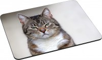 Photos - Mouse Pad Pedea Gaming Office Mauspad L Cat 