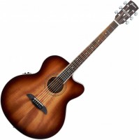 Photos - Acoustic Guitar Framus FJ 14 M CE 