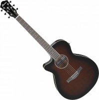Acoustic Guitar Ibanez AEG7L 