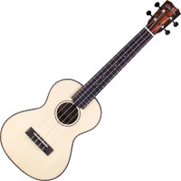 Photos - Acoustic Guitar Cordoba 21T 