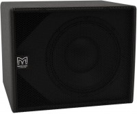 Photos - Subwoofer Martin Audio SX112 