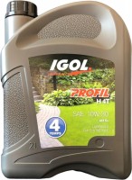 Photos - Engine Oil Igol Profil H 4T 10W-30 2 L