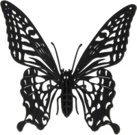 Photos - 3D Puzzle Fridolin Butterfly 11607 