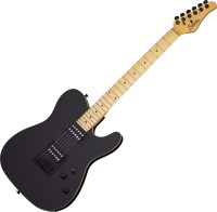 Photos - Guitar Schecter PT 