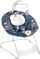 Photos - Baby Swing / Chair Bouncer Fisher Price HBF25 