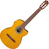 Photos - Acoustic Guitar Ibanez GA3ECE 