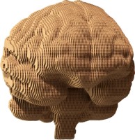 Photos - 3D Puzzle Сartonic Brain 