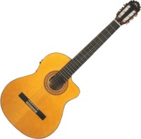 Photos - Acoustic Guitar Manuel Rodriguez B Cutway 