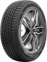 Photos - Tyre Radar Dimax Winter 235/45 R18 98V 