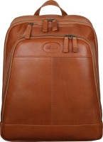 Photos - Backpack Ashwood 8144 