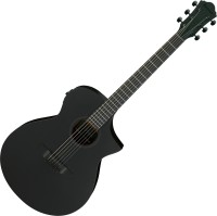 Acoustic Guitar Ibanez AEWC621 