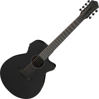 Photos - Acoustic Guitar Ibanez AEG721 