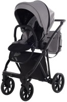 Photos - Pushchair Junama Smart 2 in 1 