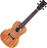 Photos - Acoustic Guitar Cordoba 25T 