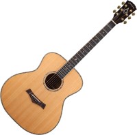 Photos - Acoustic Guitar Arrow Platinum A 