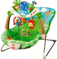 Photos - Baby Swing / Chair Bouncer Fisher Price K2565 