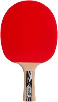 Photos - Table Tennis Bat Donic Legends Silver FSC 