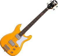 Photos - Guitar Epiphone Newport Bass 