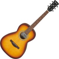 Photos - Acoustic Guitar Ibanez PN50 