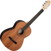Photos - Acoustic Guitar Ortega R16PC 
