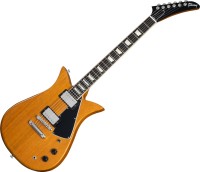 Photos - Guitar Gibson Theodore Standard 