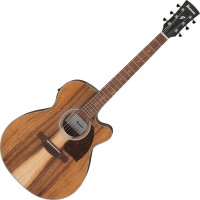 Photos - Acoustic Guitar Ibanez PC50WSCE