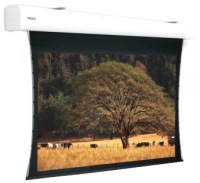 Photos - Projector Screen Projecta Tensioned Elpro Large Electrol 350x223 