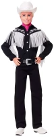 Photos - Doll Barbie Ken HRF30