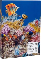 Photos - Ink & Toner Cartridge Barva IC-T01D1