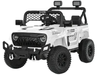 Photos - Kids Electric Ride-on Bambi M6325EBLR