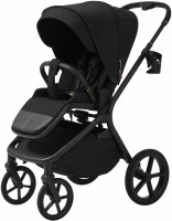 Photos - Pushchair Future Design Inspiro 2 in 1