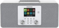 Photos - Radio / Clock Grundig DTR 6100