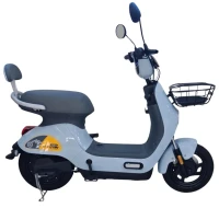 Photos - Electric Scooters TITAN City