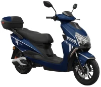 Photos - Electric Scooters Forte MS-300