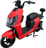 Photos - Electric Scooters Oscar Amir 800W 20Ah