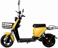 Photos - Electric Scooters Forte RZ500